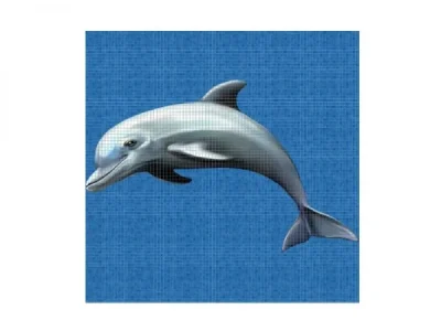 Dolphin_printani_motiv_2_5_x_2_5_cm_pozadina_po_želji_dimenzije_219_cm_x_146_cm_cijena_za_motiv