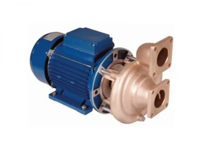 Masažna_crpka_tip_GSB_3-400_230V_2_20_kW_komplet_s_priključcima_G2