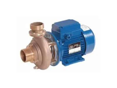 Masažna_crpka_tip_RBS_3-400_230V_1_10_kW_priključak_usis_G2_tlak_90_G2