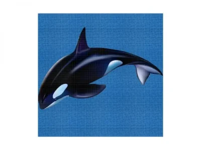 Orca_printani_motiv_2_5_x_2_5_cm_pozadina_po_želji_dimenzije_329_cm_x_219_cm_cijena_za_motiv