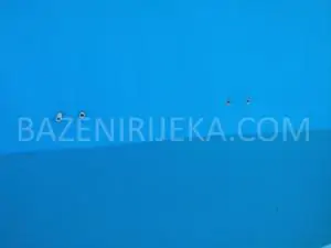 IMG 3651 Bazen Drazice Folija 91