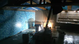 Bazen MM267